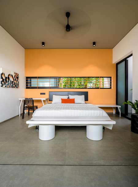 The Colour Burst House